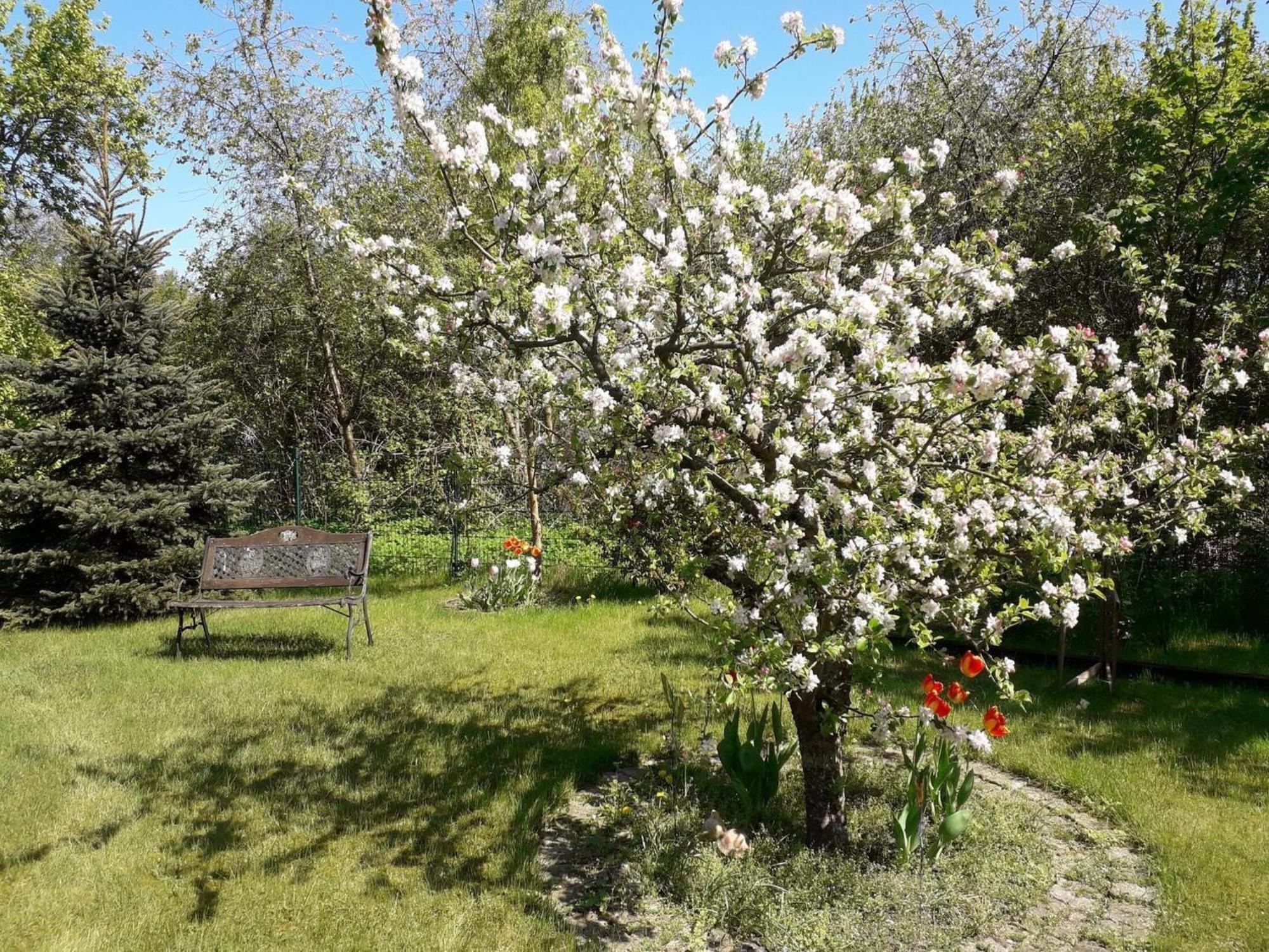 In Der Huebschen Inselstadt Malchow